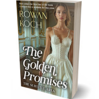 3D view of Premade Romance Book Cover - Judge Gray