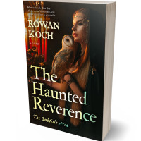 3D view of Premade Fantasy Book Cover - Antique Brass