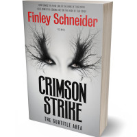 3D view of Premade Fantasy Book Cover - Gray Nickel