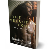 3D view of Premade Erotica Book Cover - Zeus