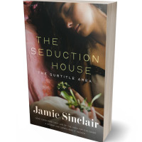 3D view of Premade Erotica Book Cover - Birch