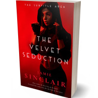 3D view of Premade Erotica Book Cover - Sepia Black