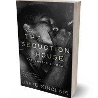 3D view of Premade Erotica Book Cover - Mine Shaft