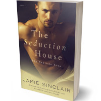 3D view of Premade Erotica Book Cover - Thunder