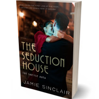 3D view of Premade Romance Book Cover - Night Rider