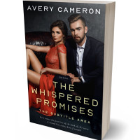 3D view of Premade Romance Book Cover - Muddy Waters