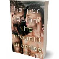 3D view of Premade Erotica Book Cover - Sandal