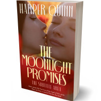 3D view of Premade Romance Book Cover - Burnt Umber