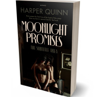 Tablet view of Night Rider #16903 - Premade Erotica Book Cover