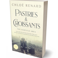 3D view of Mid Gray #16922 - Premade Literary Fiction Book Cover