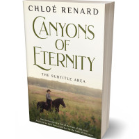 Tablet view of White Rock #16924 - Premade Western Book Cover