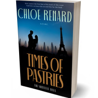 3D view of Premade Romance Book Cover - Firefly