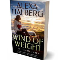 3D view of Pavlova #17047 - Premade Travel Book Cover