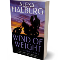 3D view of Premade Romance Book Cover - Cinder