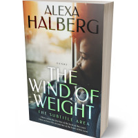 3D view of Premade Literary Fiction Book Cover - Akaroa