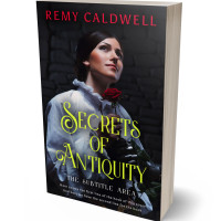 3D view of Premade Historical Book Cover - Woodsmoke