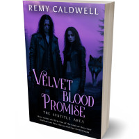 3D view of Premade Mystery & Thriller & Suspense Book Cover - Amethyst