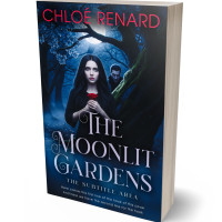 3D view of Premade Paranormal & Urban Book Cover - Firefly