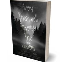 3D view of Premade Paranormal & Urban Book Cover - Mine Shaft