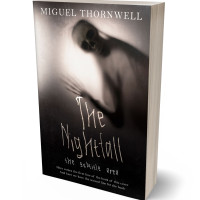 3D view of Premade Horror Book Cover - Swirl