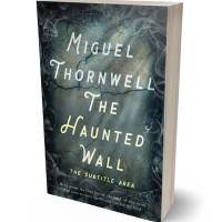 3D view of Premade Horror Book Cover - Outer Space