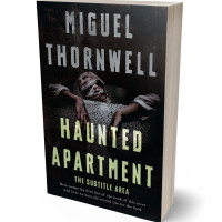 3D view of Premade Horror Book Cover - Schist