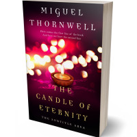 3D view of Premade Fantasy Book Cover - Deep Blush