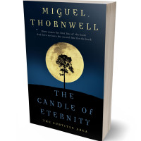 3D view of Premade Fantasy Book Cover - Black Pearl