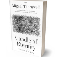 Tablet view of Silver #17494 - Premade Abstract Book Cover