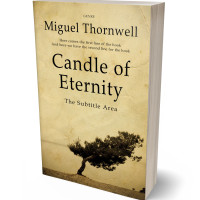 Tablet view of Calico #17496 - Premade Poetry Book Cover | BookCoverZone