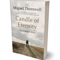 3D view of Premade Romance Book Cover - Timberwolf