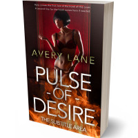 3D view of Premade Erotica Book Cover - Paco