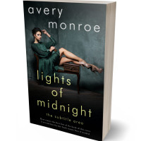 3D view of Premade Erotica Book Cover - Woodsmoke