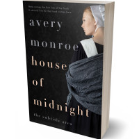 3D view of Premade Historical Book Cover - Woodsmoke