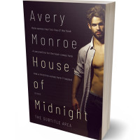 3D view of Premade Erotica Book Cover - Gondola