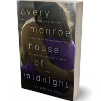 3D view of Premade Romance Book Cover - Thunder