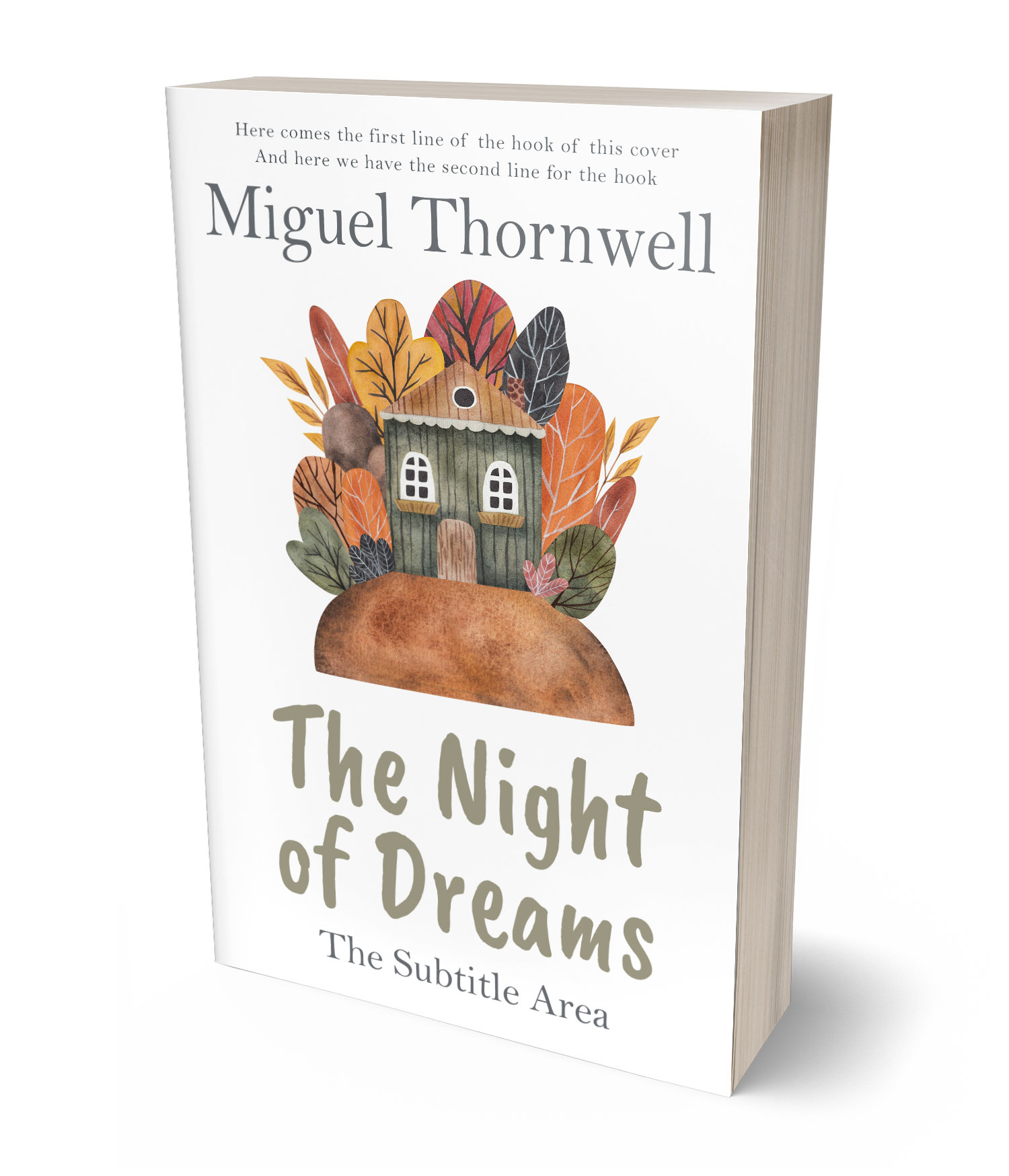 3D view of Premade Children's Book Cover - Sandal