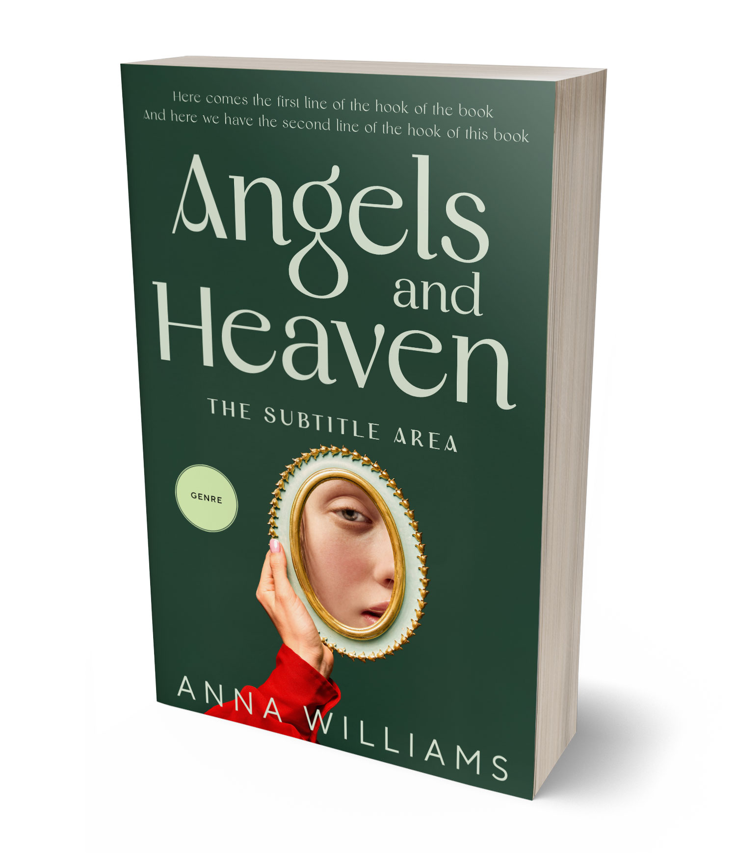 3D view of Premade Literary Fiction Book Cover - Everglade #17812 | BookCoverZone*