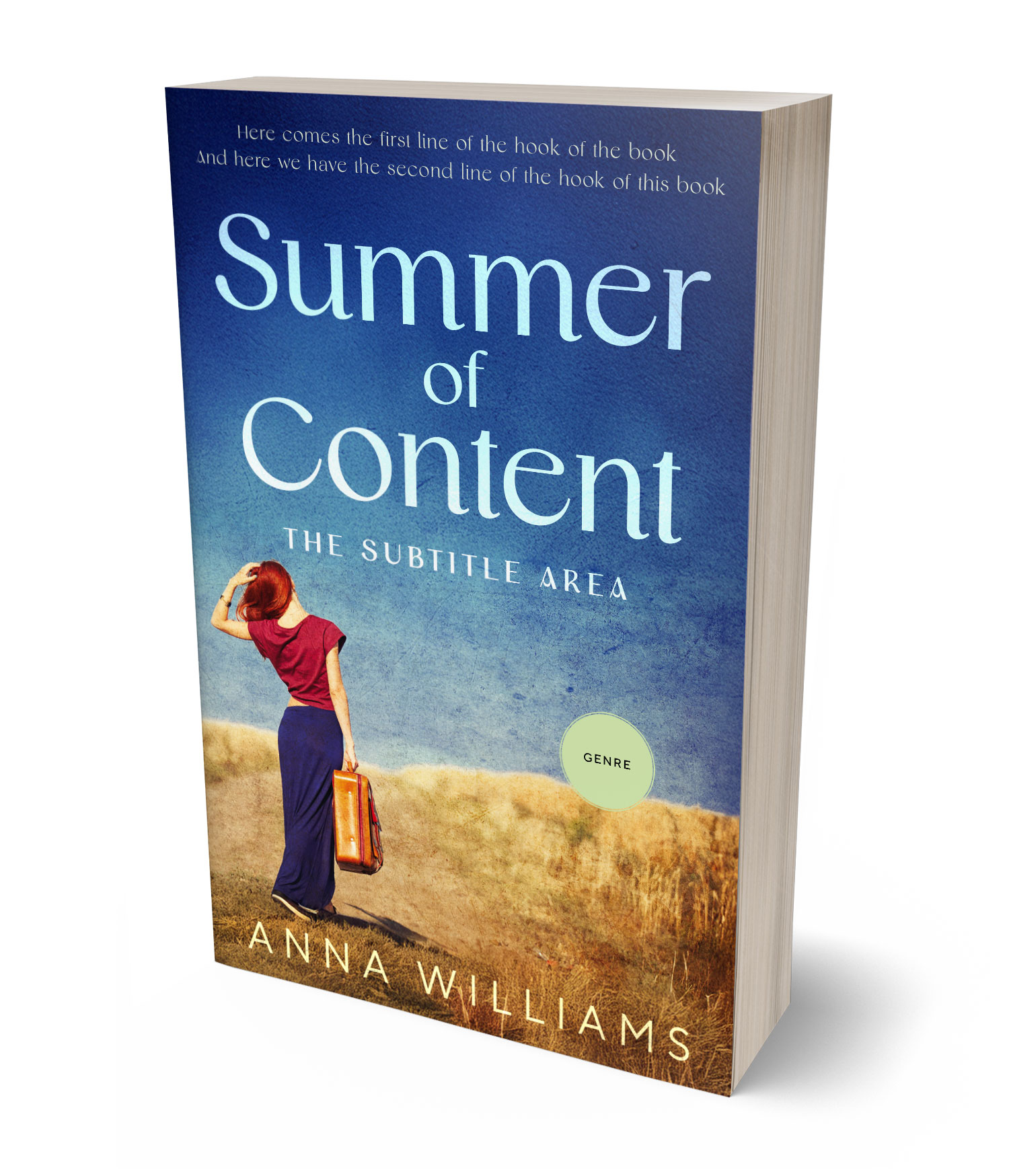 3D view of Premade Travel Book Cover - Chambray #17814 | BookCoverZone*