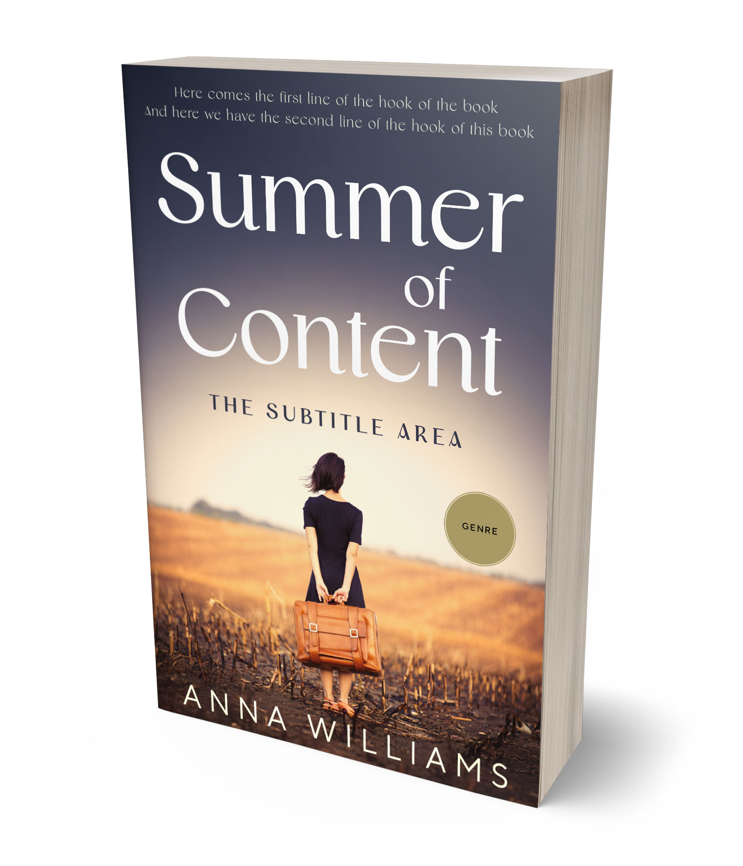 3D view of Premade Travel Book Cover - Brandy #17816 | BookCoverZone*