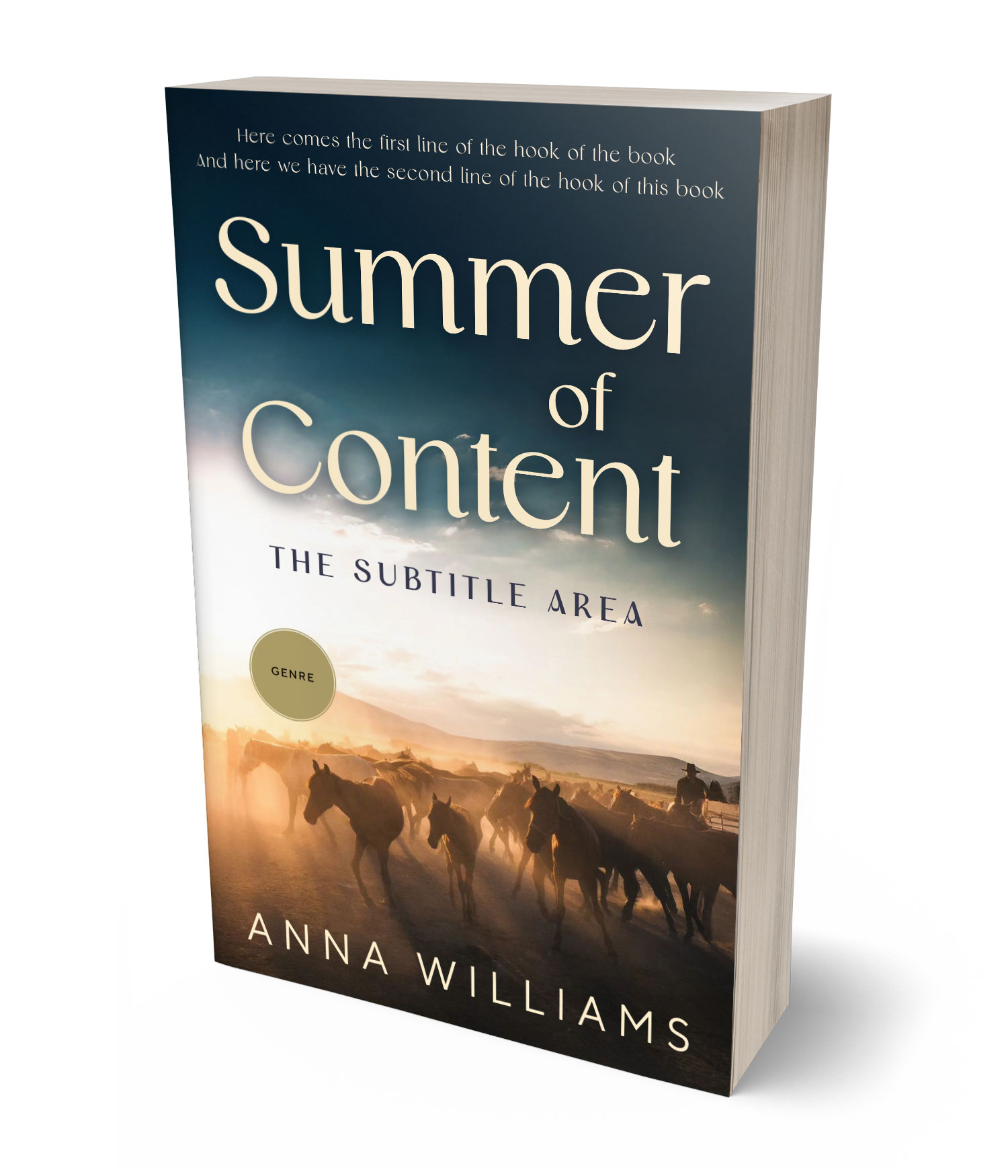 3D view of Premade Western Book Cover - Hampton