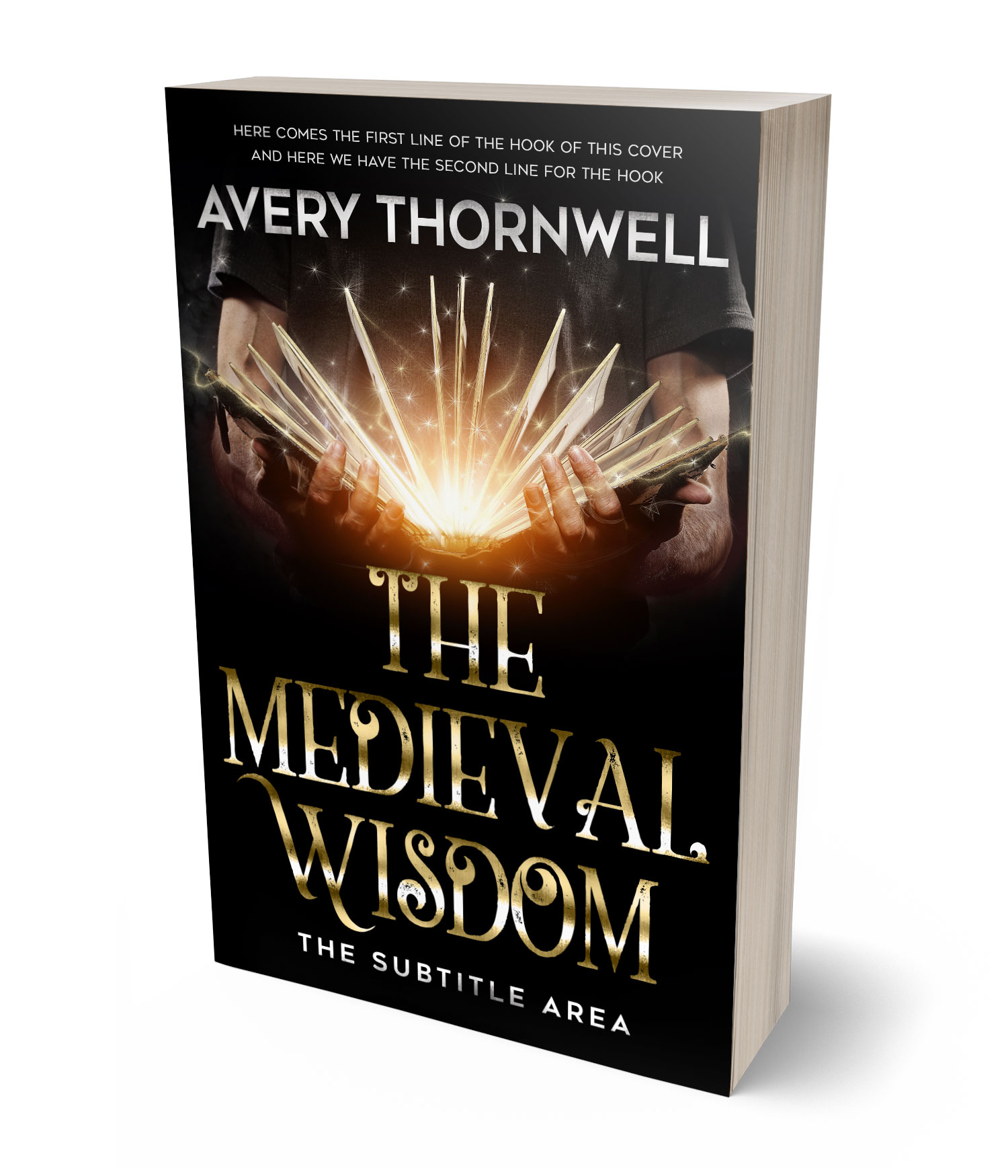 3D view of Premade Fantasy Book Cover - Night Rider #17833 | BookCoverZone*