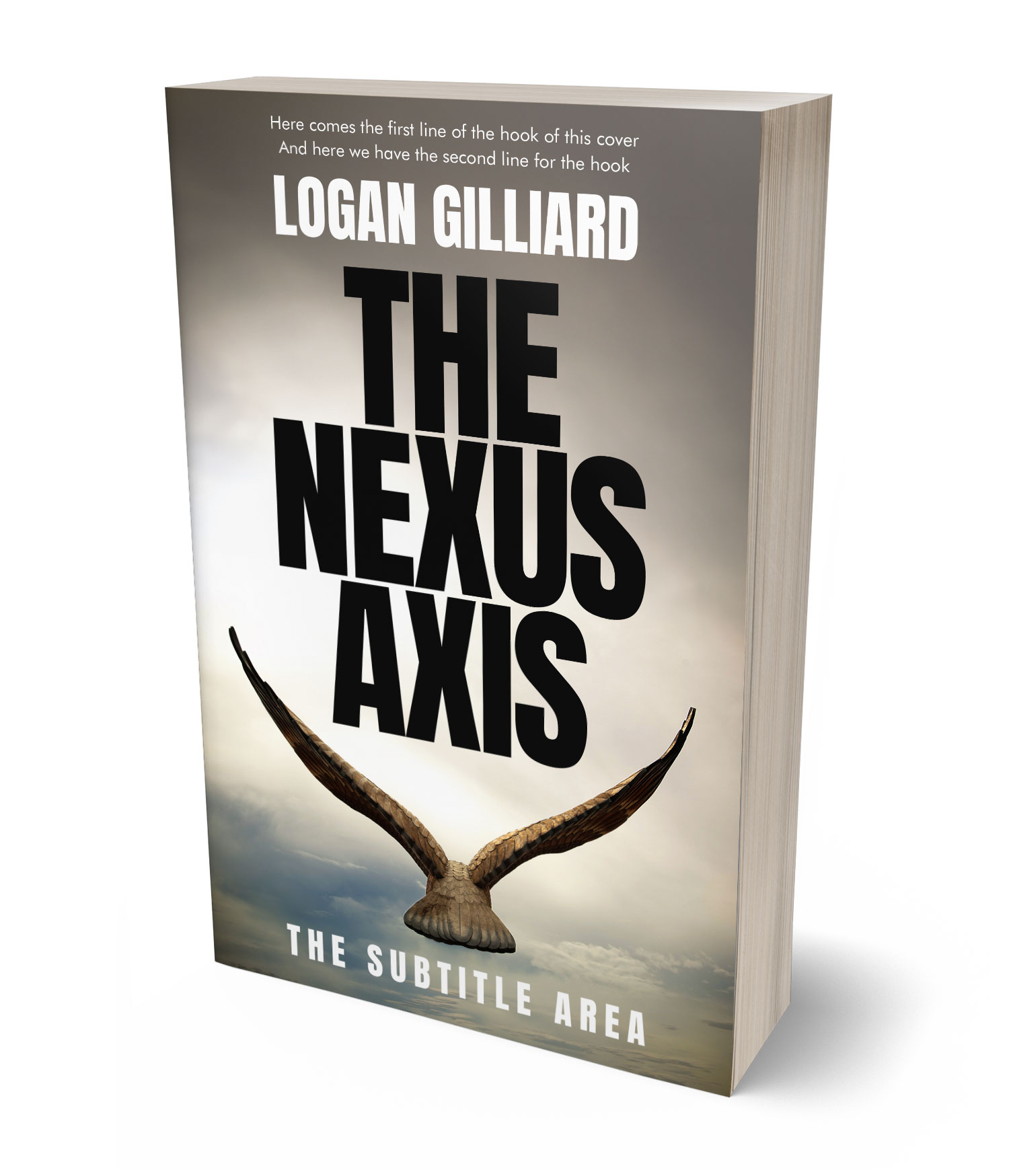 3D view of Premade Mystery & Thriller & Suspense Book Cover - Ash