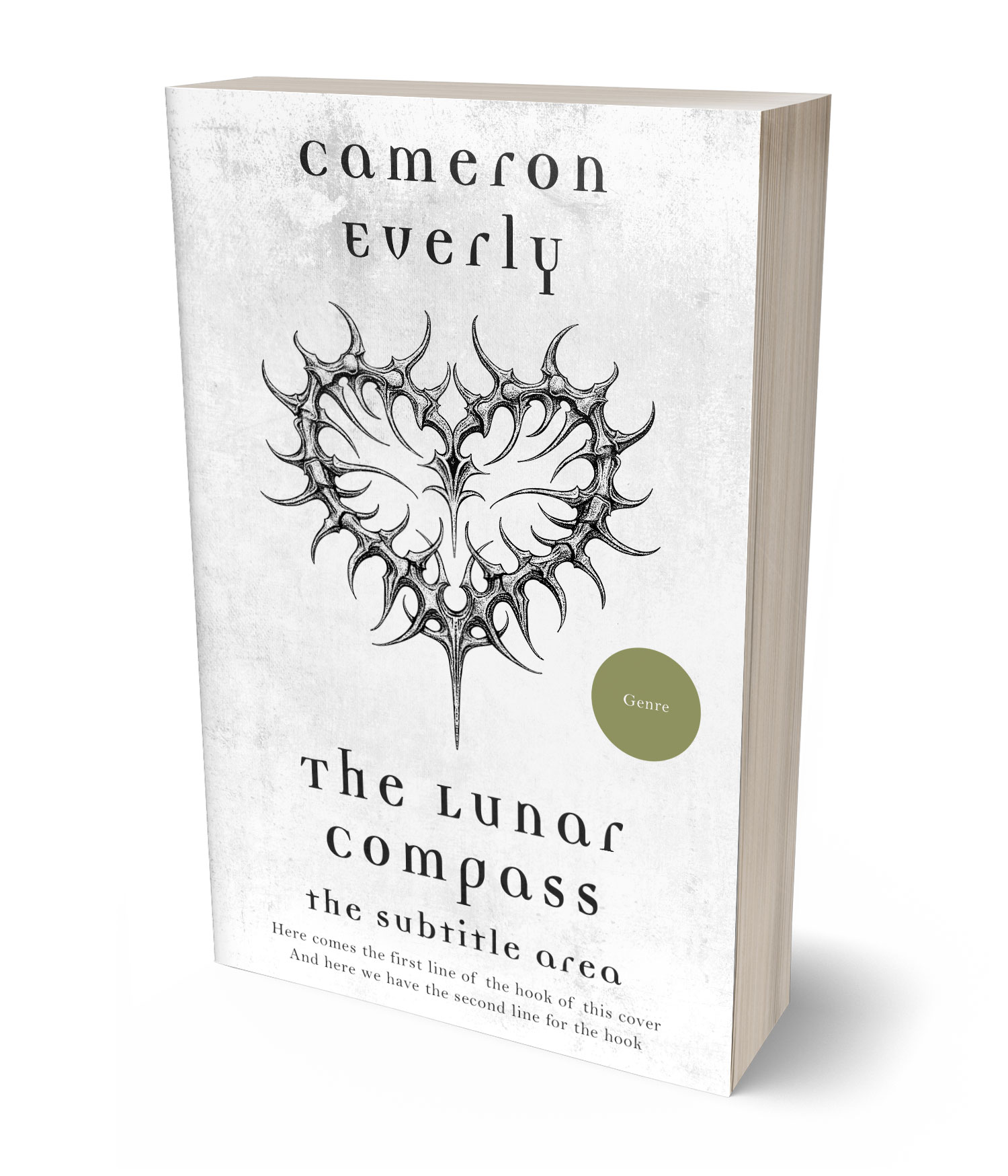 3D view of Premade  Book Cover - Gallery #18239 | BookCoverZone*