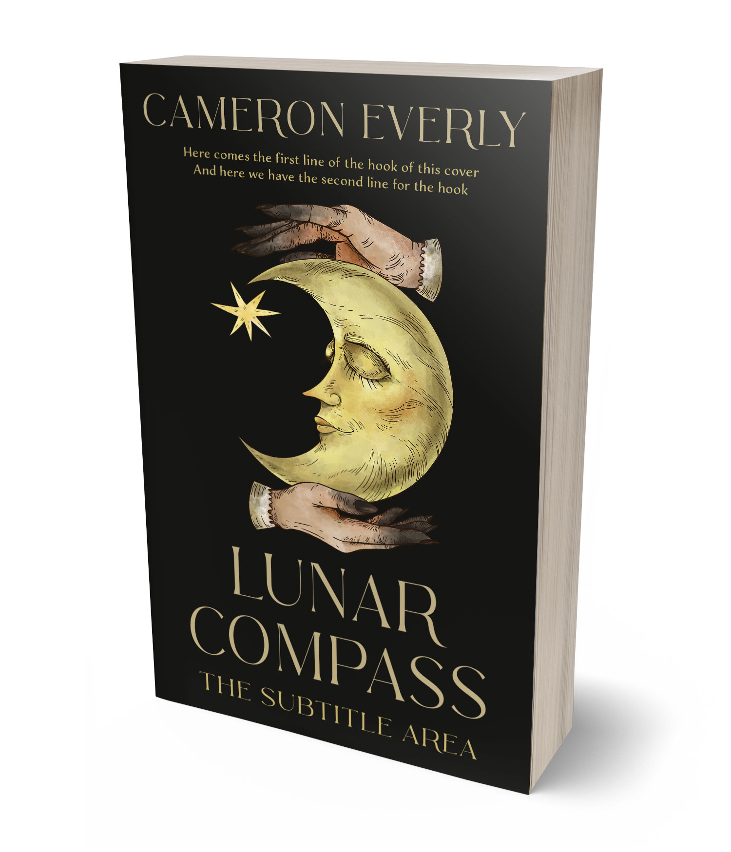 3D view of Premade  Book Cover - Sorrell Brown #18264 | BookCoverZone*