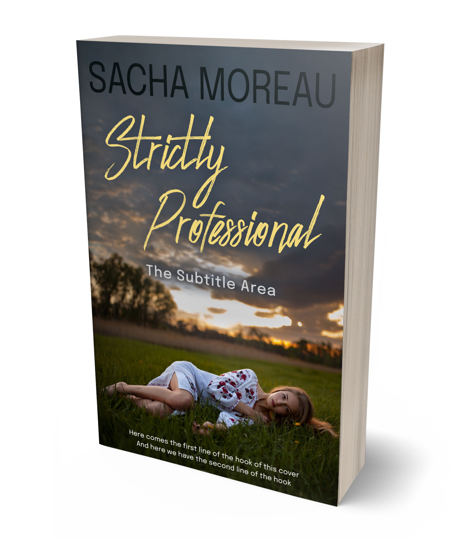 3D view of Premade Romance Book Cover - Armadillo #18358 | BookCoverZone