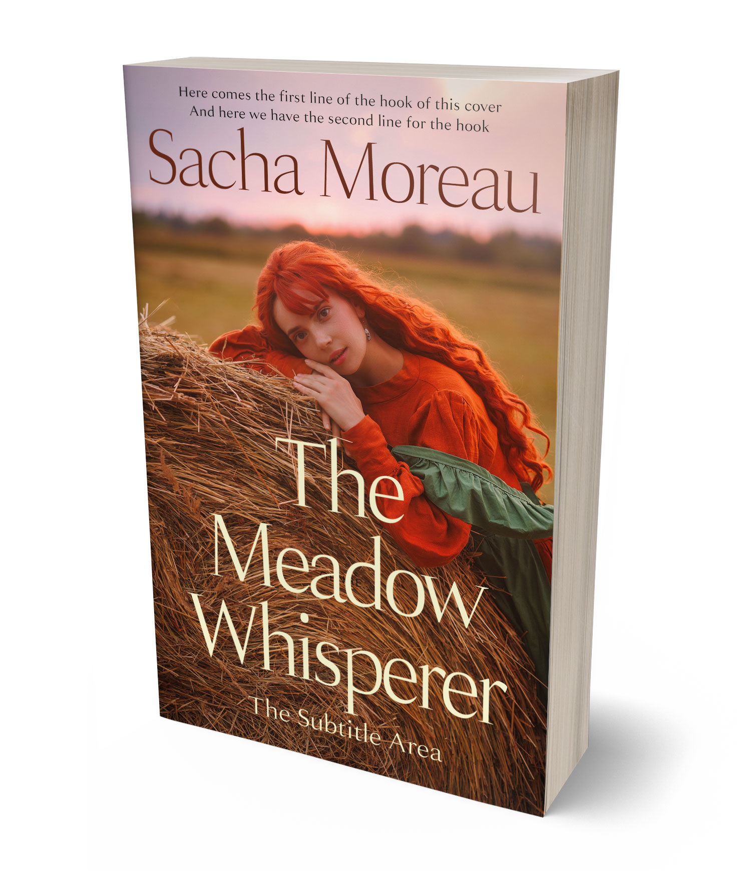 3D view of Premade  Book Cover - Nutmeg #18409 | BookCoverZone