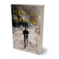 3D view of Premade Literary Fiction Book Cover - Silk