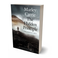 3D view of Premade Self-Improvement & Self-Help Book Cover - Celeste