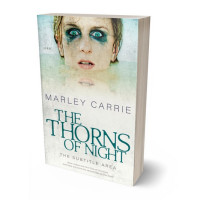 3D view of Premade Horror Book Cover - Moon Mist